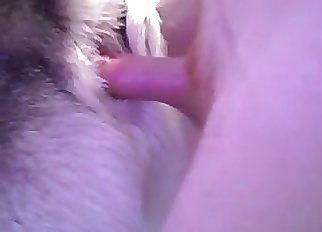 Lustful Husky is enjoying intensive zoophilia orgy act