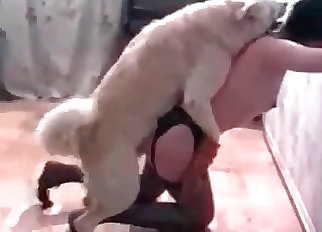 Amazing bestiality with a brunette