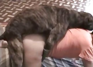 Acts of raw bestiality spliced together