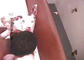 Naughty zoophilia sex with a retriever