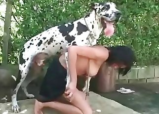 Dalmatian in awesome inexperienced zoophilia