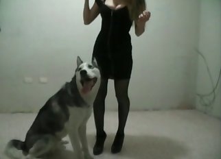 Tight pussy fucked by a horny husky