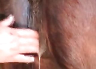 Fisting